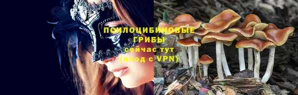 сатива Баксан