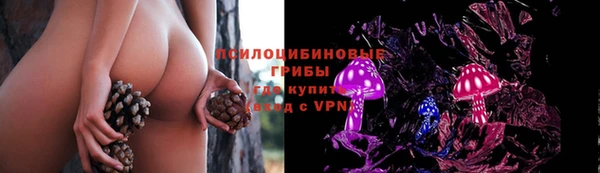 сатива Баксан
