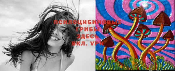 сатива Баксан
