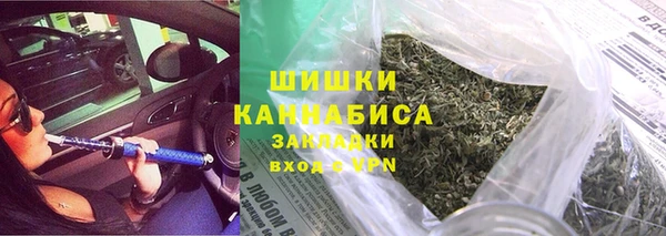 сатива Баксан